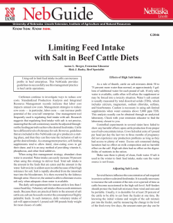 Limiting Feed Intake with Salt in Beef Cattle Diets