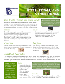 bites, stings, and other things