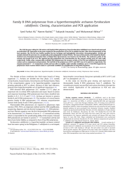 Family B DNA polymerase from a hyperthermophilic archaeon