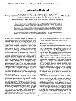 Arthropod cuticles in coal