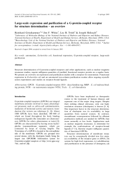 Large-scale expression and purification of a G-protein