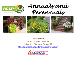 Annuals and Perennials