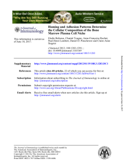 Homing and Adhesion Patterns Determine the Cellular Composition