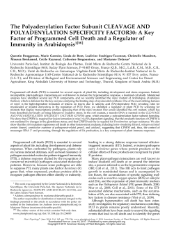 The Polyadenylation Factor Subunit CLEAVAGE