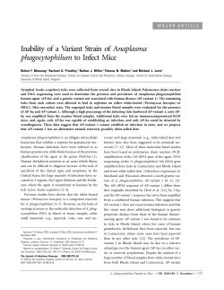 Inability of a Variant Strain of Anaplasma phagocytophilum to Infect