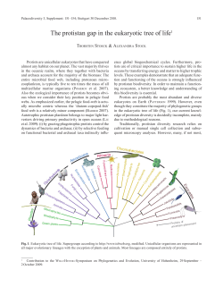 The protistan gap in the eukaryotic tree of life1