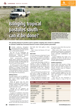 Bringing tropical pastures south &mdash; can it be done?