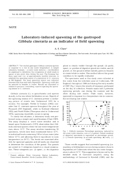 Full text in pdf format