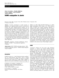 SUMO conjugation in plants
