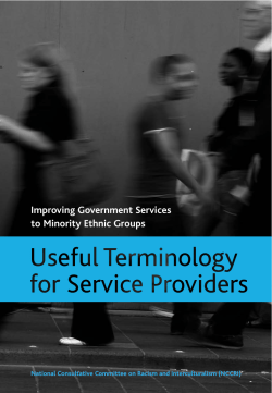 Improving Government Services to Minority Ethnic Groups_Useful