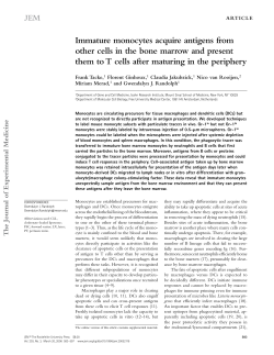 Immature monocytes acquire antigens from other cells in the bone