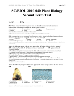 Term Test Two