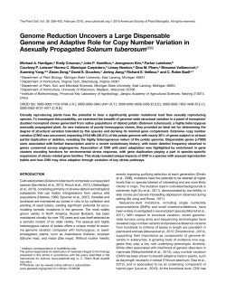 Genome Reduction Uncovers a Large Dispensable