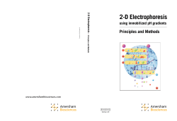 2-D Electrophoresis