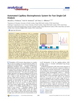 Automated Capillary Electrophoresis System for Fast Single