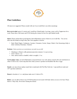 Plan Guidelines - Lyn