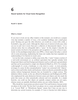 Neural Systems for Visual Scene Recognition