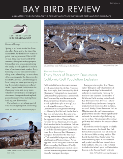 Spring 2010 - San Francisco Bay Bird Observatory
