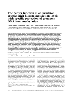 The barrier function of an insulator couples high histone acetylation