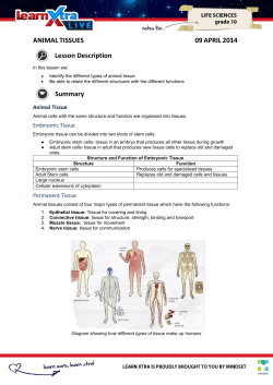 LXL_Gr10LifeSciences_06_Animal