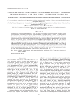 nursery and spawning areas of deep-water rose