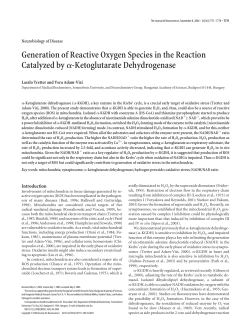 Generation of Reactive Oxygen Species in the