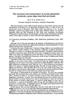 The taxonomy and nomenclature of certain palmelloid, planktonic