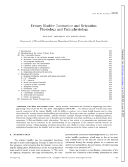 Urinary Bladder Contraction and Relaxation