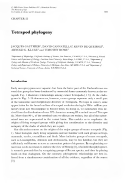 Tetrapod phylogeny