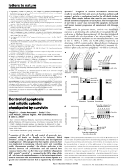 Control of apoptosis and mitotic spindle checkpoint by survivin