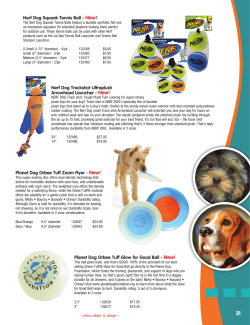 Nerf Dog Squeak Tennis Ball - New!