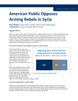 American Public Opposes Arming Rebels in Syria