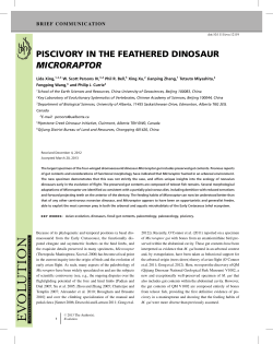 piscivory in the feathered dinosaur microraptor