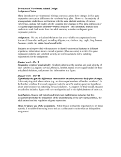 Evolution of Vertebrate Animal Design Assignment Notes Many