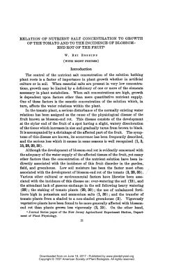 RELATION OF NUTRIENT SALT CONCENTRATION TO GROWTH