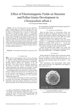 Effect of Electromagnetic Fields on Structure and Pollen Grains