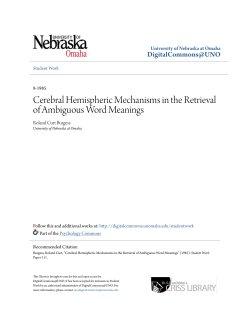 Cerebral Hemispheric Mechanisms in the
