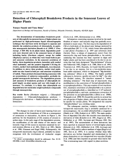 Detection of Chlorophyll Breakdown Products in the Senescent