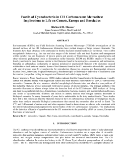 Fossils of Cyanobacteria in CI1 Carbonaceous Meteorites