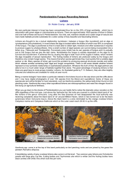 Jan 2006 Lichens - Pembrokeshire Fungus Recording Network