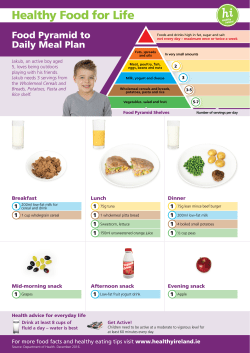 Food Pyramid to Daily Meal Plan for Jakab aged 5