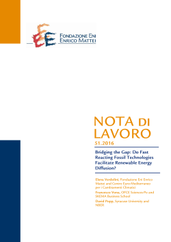 FEEM - Nota di lavoro 2016.051