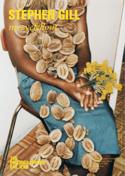 Stephen Gill Exhibition Notes