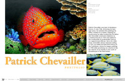 Patrick Chevallier Portfolio - X