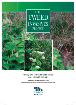 The long-term control of Giant Hogweed and Japanese Knotweed: