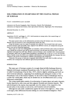 soil formation in swamp soils of the coastal fringe of surinam