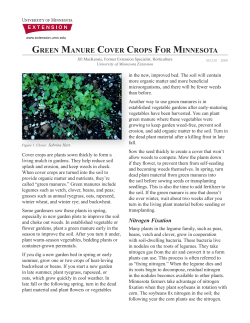 GREEN MANURE COVER CROPS FOR MINNESOTA