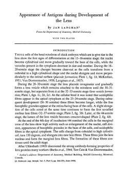 Appearance of Antigens during Development of the Lens