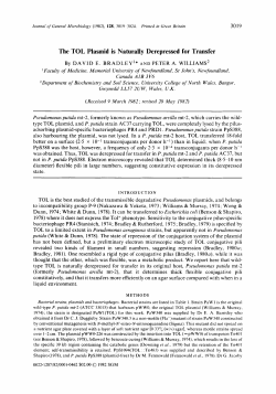 The TOL Plasmid is Naturally Derepressed for Transfer
