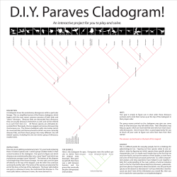 D.I.Y. Paraves Cladogram!